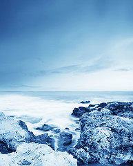 Image showing sea coast