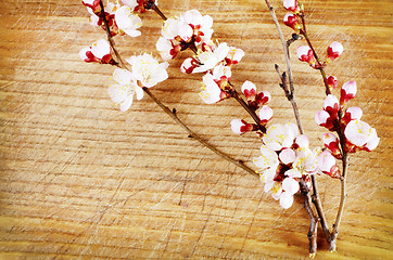 Image showing flowers on wood