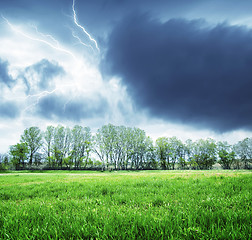 Image showing green field