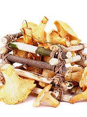 Image showing Raw Chanterelles