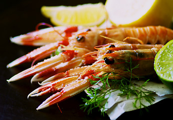 Image showing Langoustines