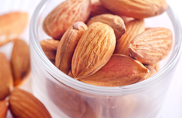 Image showing almond