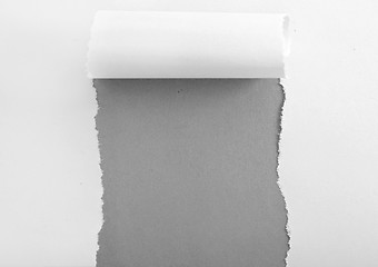 Image showing paper