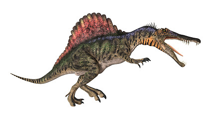 Image showing Dinosaur Spinosaurus