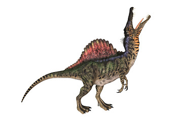 Image showing Dinosaur Spinosaurus