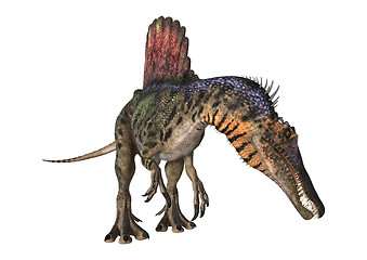 Image showing Dinosaur Spinosaurus