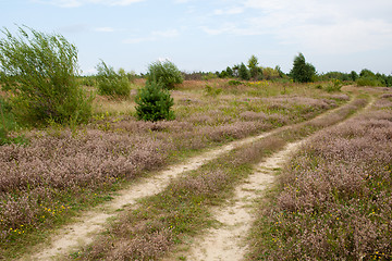 Image showing Country road