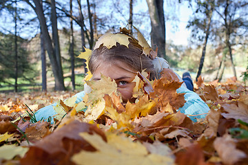 Image showing Girl in the Autumn leaves