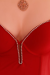 Image showing Mannequin in bodice