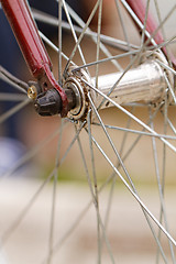 Image showing Bicycle spokes