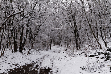 Image showing Snowy road