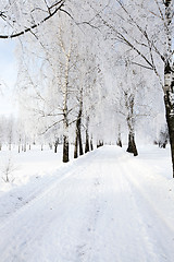 Image showing the winter road  