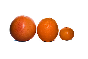 Image showing Orange 