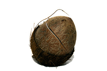 Image showing broken coconut 