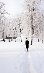 Image showing the girl in park 