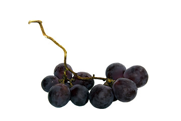 Image showing   dark grapes