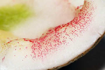 Image showing  damaged coconut