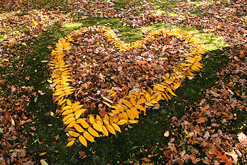 Image showing Autumn love