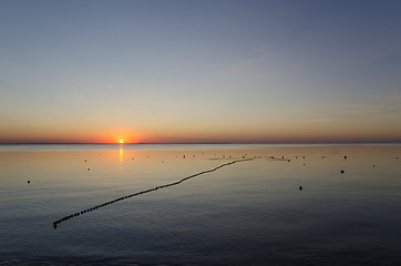 Image showing Floating fishnet