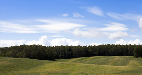 Image showing agricultural field  