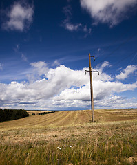 Image showing column in the field 