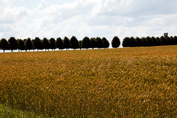 Image showing  harvest company