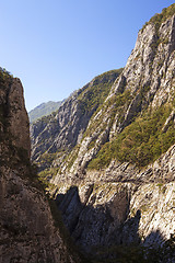 Image showing canyon, Montenegro  