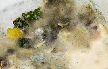 Image showing mold on food 