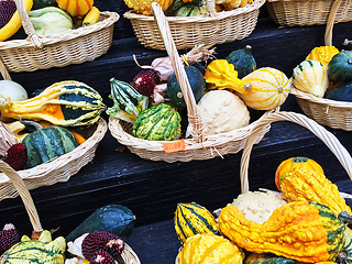Image showing Baskets with colorful gourds