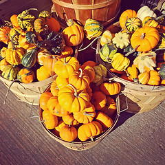 Image showing Baskets with pumpkins and gourds at the market
