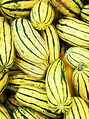 Image showing Delicata squash variety