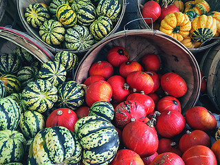 Image showing Variety of colorful squashes at the market