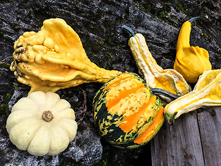 Image showing Colorful autumn vegetables