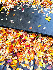 Image showing Red and yellow leaves on stone steps
