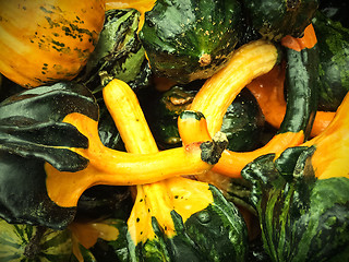 Image showing Green and yellow decorative gourds