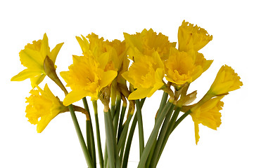 Image showing daffodil bouquet