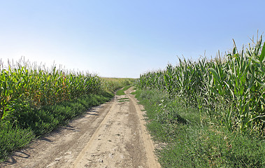 Image showing Dirt Road