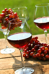 Image showing Wine in the late afternoon