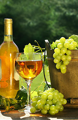 Image showing White wine with bottle and grapes