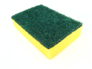 Image showing sponge
