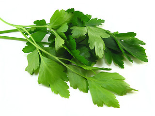 Image showing Parsley