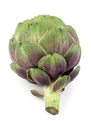 Image showing Artichoke