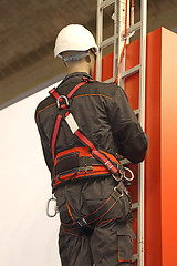 Image showing Fall Protection Safety Harness