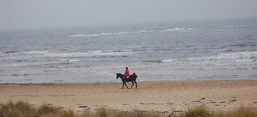 Image showing Lonely rider on the beach