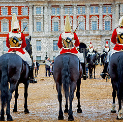 Image showing for    the queen in london england horse and cavalry 