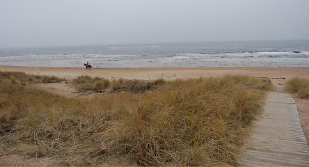 Image showing Scandinavian beach in Wintertime