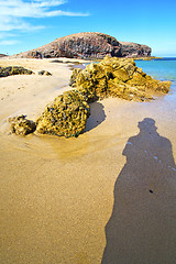 Image showing white coast lanzarote  in spain   beach  stone water  summer 