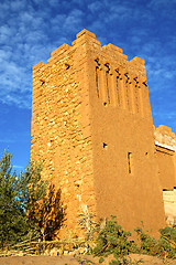 Image showing africa  in histoycal maroc  old plant