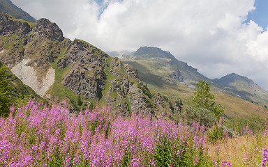 Image showing Typical view of the Swiss alps