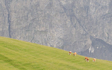 Image showing Typical view of the Swiss alps